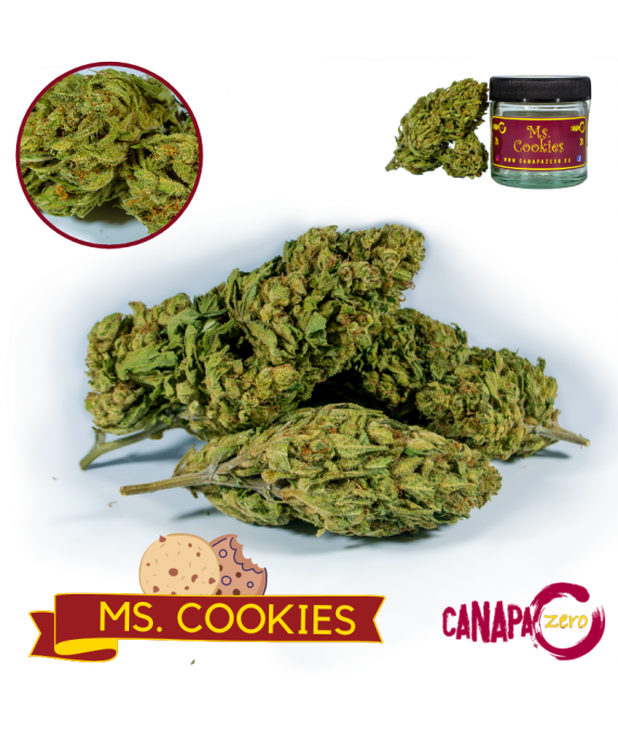 Ms COOKIES by Canapa Zero