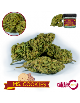 Ms COOKIES 2g by Canapa Zero