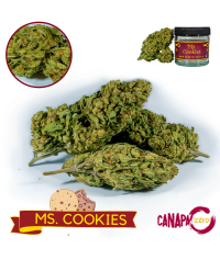 Ms COOKIES 2g by Canapa Zero