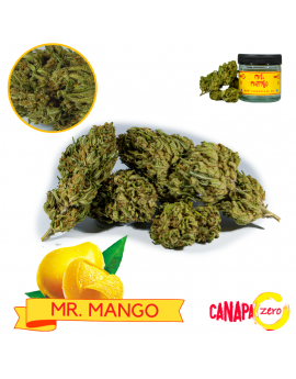 Mr MANGO 2g by Canapa Zero