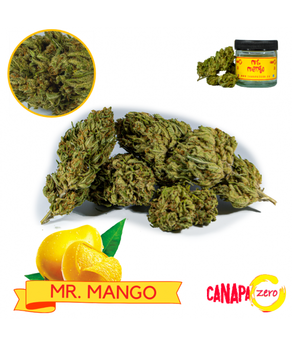 Mr MANGO 3g by Canapa Zero