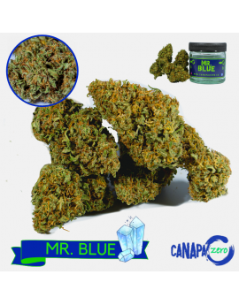 Mr BLUE 2g by Canapa Zero