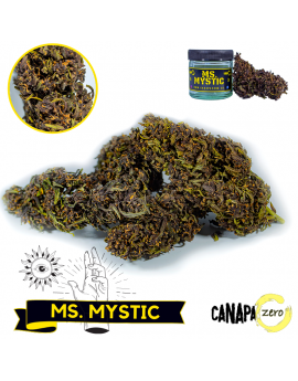 Ms MYSTIC 2g by Canapa Zero