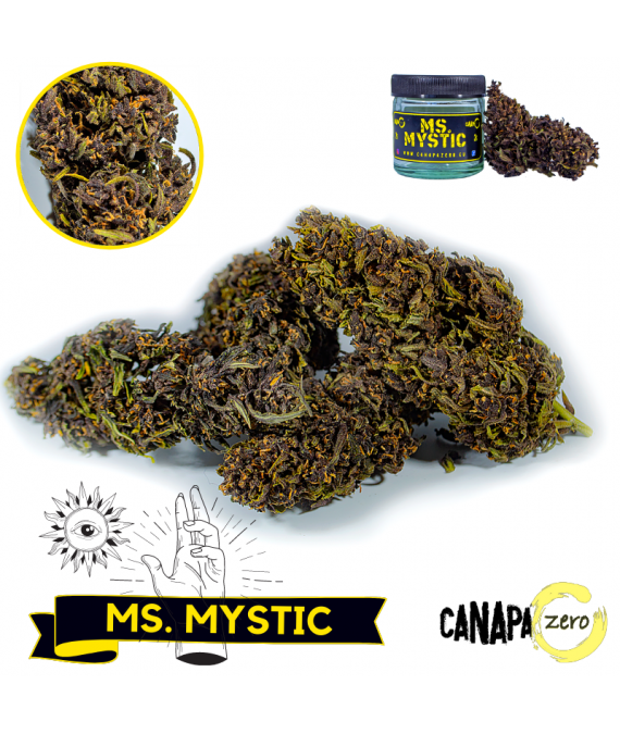 Ms MYSTIC 3g by Canapa Zero