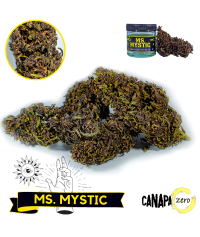 Ms MYSTIC 3g by Canapa Zero