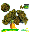 Ms PINEAPPLE 2g by Canapa Zero
