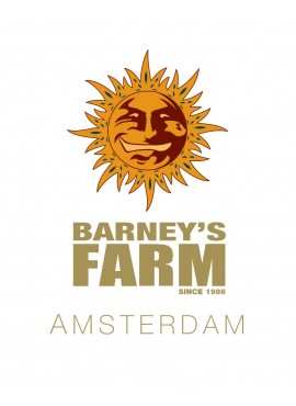 BARNEY'S FARM AMSTERDAM