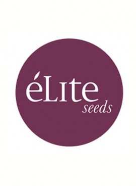Elite seeds