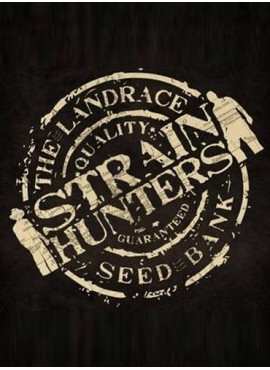 STRAIN HUNTERS SEEDS BANK BY FRANCO