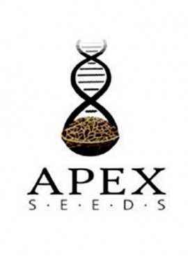Apex seeds