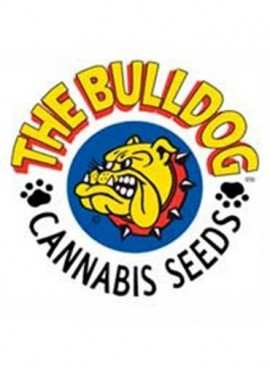 The Bulldog seeds