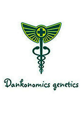DANKONOMICS GENETICS