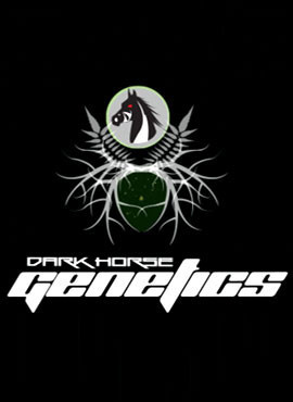 DARK HORSE GENETICS