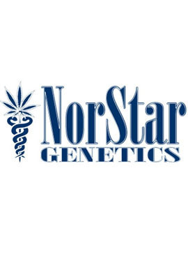 NORSTAR GENETICS