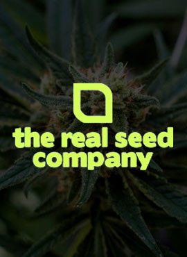 THE REAL SEED COMPANY