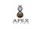 APEX SEEDS