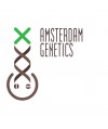 AMSTERDAM GENETICS