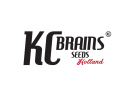 KC Brains
