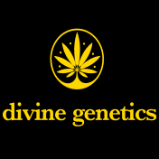 Divine Genetics