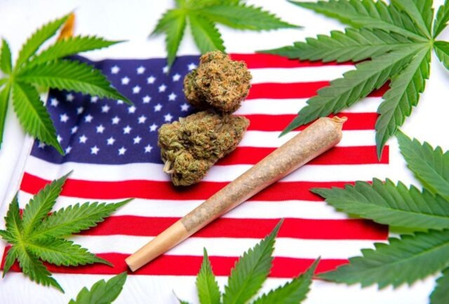 Referendum Usa: altri 5 stati hanno legalizzato la cannabis