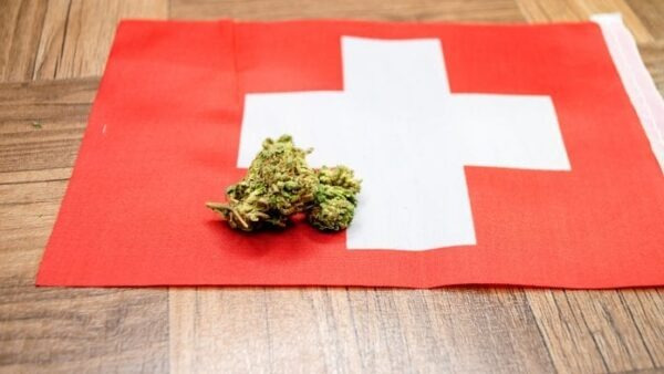 https://www.dolcevitaonline.it/la-svizzera-vuole-rendere-piu-semplice-laccesso-alla-cannabis-medica-e-iniziare-ad-esportarla/